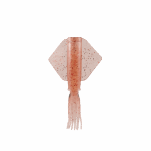 Corpo di ricambio per Lolligo