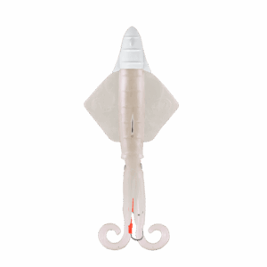 LOLLIGO Bianco